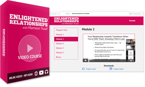 included-course-englightened-relationships (1)